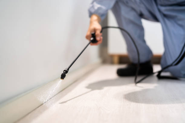 Rodent Entry Point Assessment in La Habra Heights