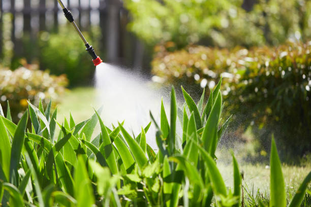Tamper-Resistant Bait Stations for Rodents in La Habra Heights
