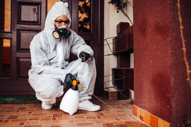 Attic and Crawl Space Rodent Treatment in La Habra Heights