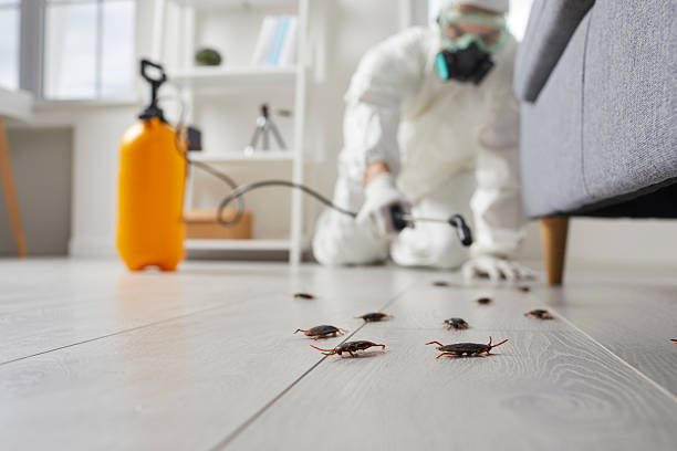 Commercial Rodent Management in La Habra Heights
